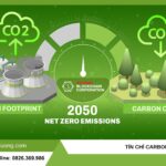 tín chỉ carbon